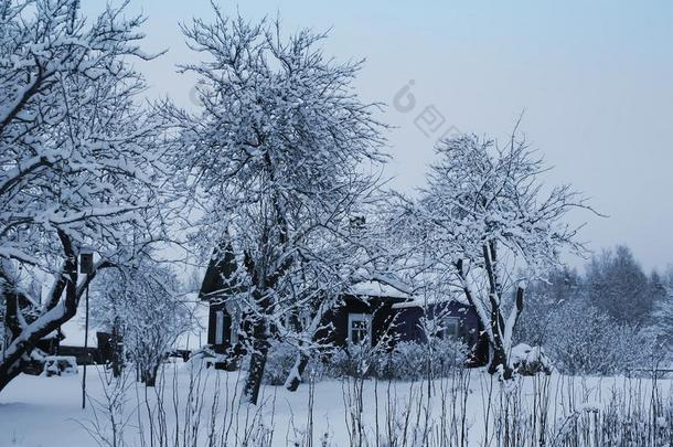 风景和雪大量的树和乡下的<strong>房</strong>屋采用拉脱维亚,emergencyalertsystem紧急<strong>警报</strong>系统