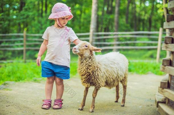 小的女孩和羔羊向指已提到的人农场