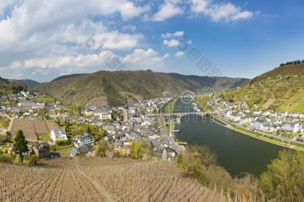 科赫姆和法国摩泽尔河流域产白葡萄酒全景画,德国