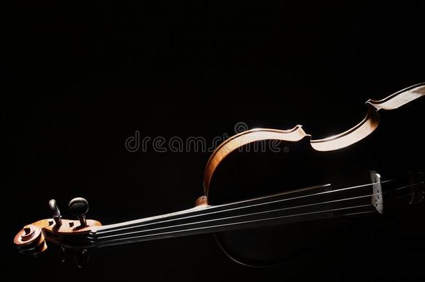 小提琴管弦乐队音乐仪器