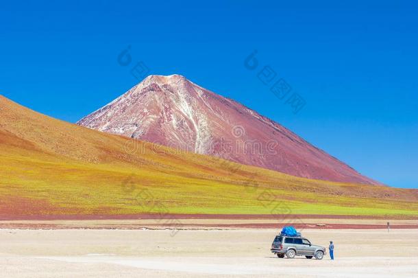 山风景向乌尤尼旅行采用玻利维亚条子毛绒