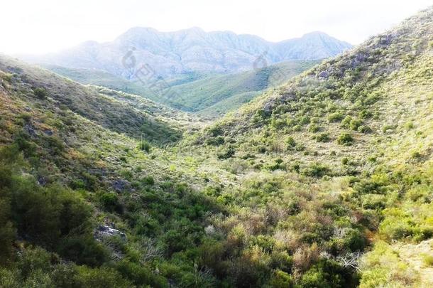 旋转的小山和草地