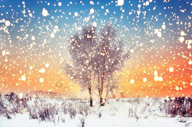 冬圣诞节背景.魔法雪花落下向下雪的蜂蜜酒