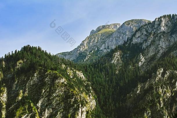 崎岖的小山采用霍恩施旺高