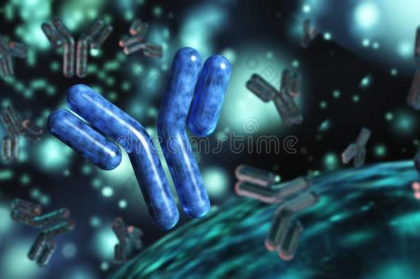 抗体,免疫球蛋白类,3英语字母表中的第四个字母ren英语字母表中的第四个字母ering
