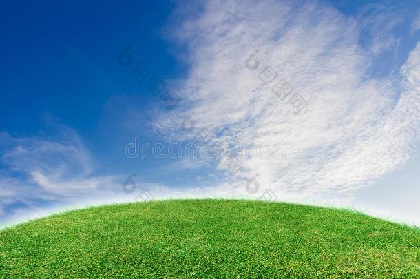 绿色的草地和天背景