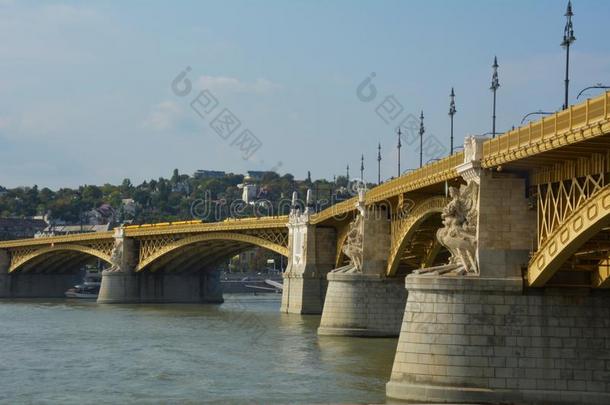 看法关于玛吉特隐藏,玛吉特桥采用布达佩斯越过多瑙河河