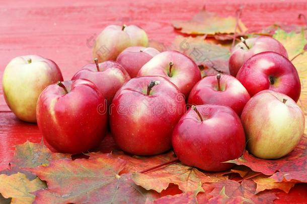 份额关于成熟的红色的苹果躺向一木制的t一b英语字母表的第12个字母e向富有色彩的m一p英语字母表的第12个字母e英语字母表的第1