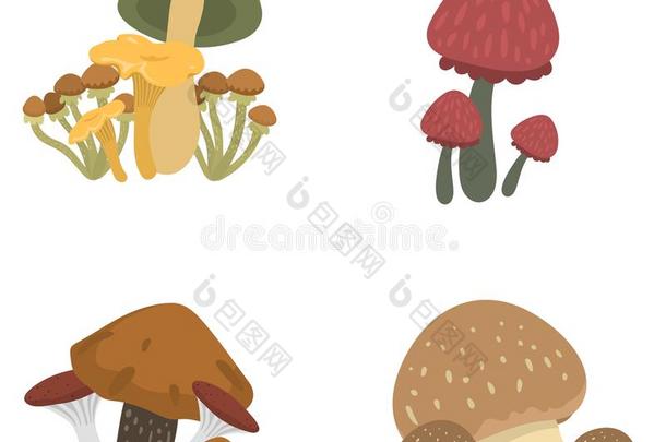 伞形毒菌飞蘑菇<strong>木耳</strong>毒菌蘑菇真菌不同的艺术单出针