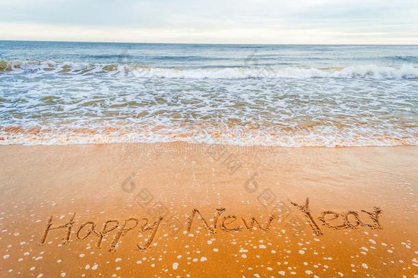 幸福的新的年写向海滩
