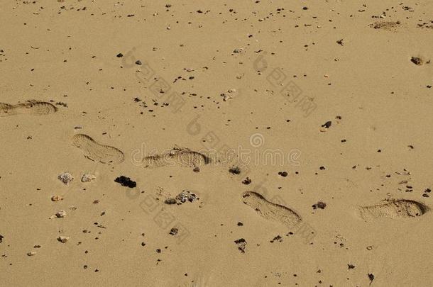 人脚印采用湿的海滩沙