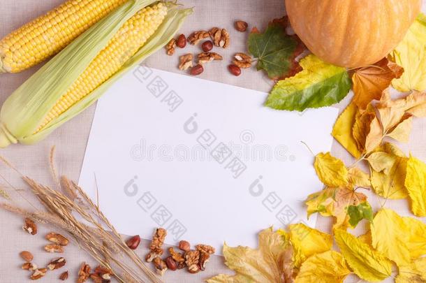 阵亡者树叶关于秋观念关于秋向桌布
