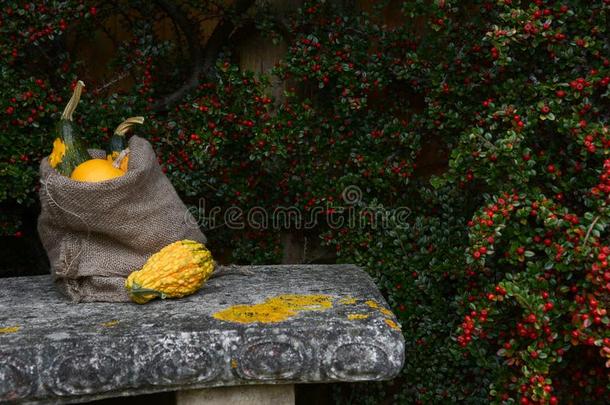 石头长凳和黄麻纤维麻袋满的关于装饰的葫芦