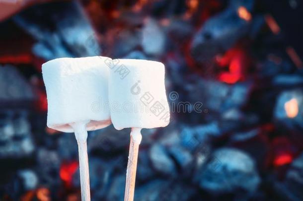 两个白色的甜的棉花糖用于烤炙的越过火火焰.马歇尔