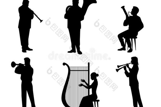 轮廓关于管弦乐队音乐家