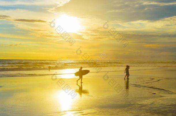冲浪运动员和冲浪板,热带的海滩