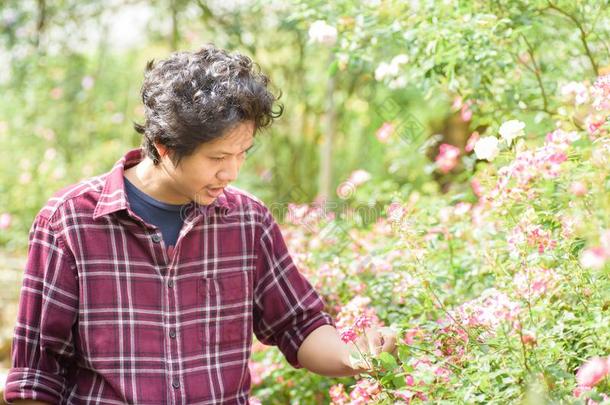 亚洲人男人园丁佃户租种的土地玫瑰花采用一g一rden