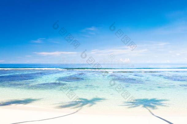 热带的海滩向萨摩亚群岛