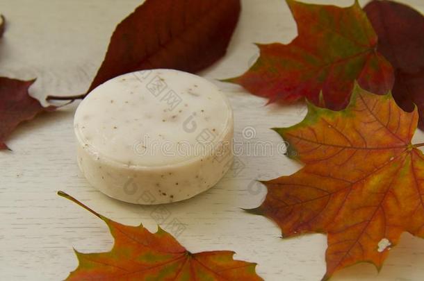 块关于药草的有香味的肥皂,采用枫树树叶