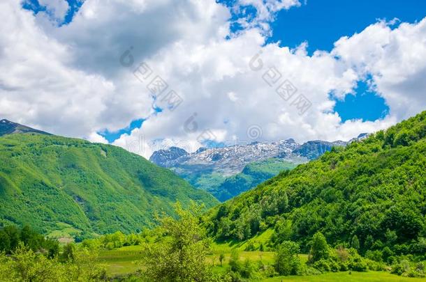 风景优美的森林和草地经过指已提到的人雪-脱帽致意山.