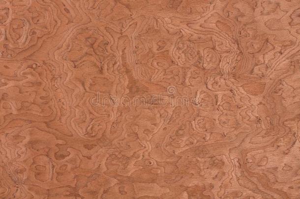 瓦沃纳，木材设计质地.自然的背景特写镜头.