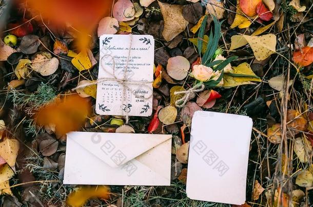 假雷达关于小册子或新婚的卡片反对秋植物的叶子和全身