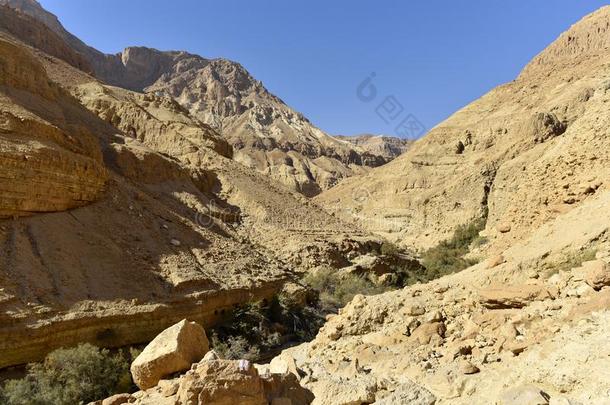 古代罗马所统治的Palestine南部沙漠风景.