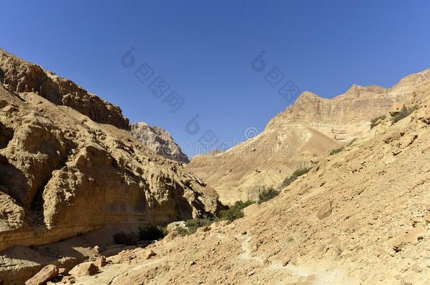 古代罗马所统治的Palestine南部沙漠风景.
