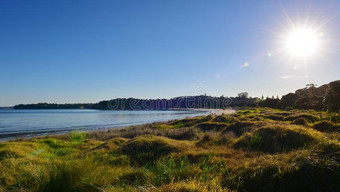 风景优美的全音节的第七音春日湾在莎士比亚地区的公园图片