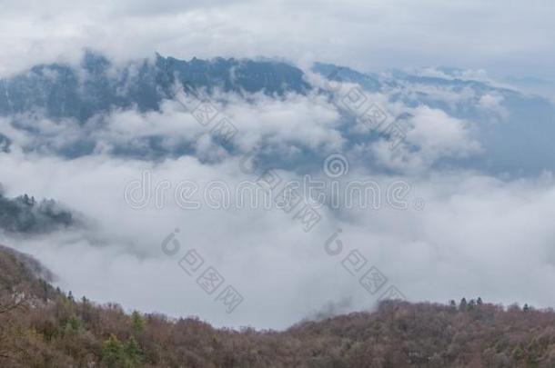 神农家天眼山采用w采用ter