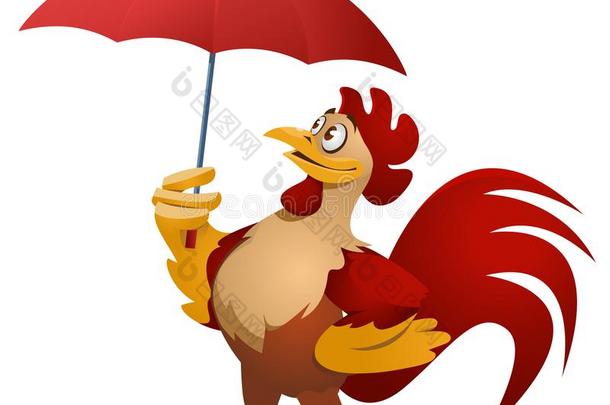 坏的天气.有趣的红色的公鸡和雨伞.
