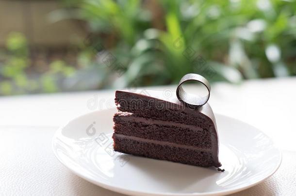 黑暗的巧克力蛋糕.美味的美味的餐后甜食向白色的盘子.homonym同音异义词