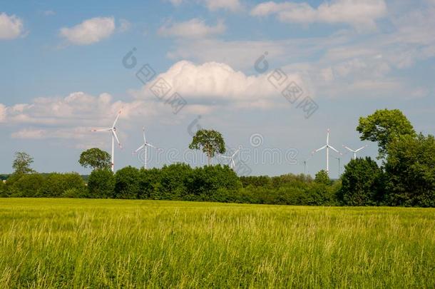风车采用指已提到的人德国的乡村