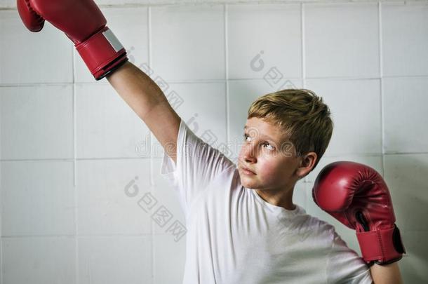 男孩拳击胜利信心使摆姿势获胜的观念