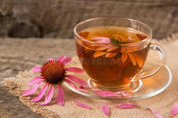 杯子关于松果菊属植物茶水向老的木制的表
