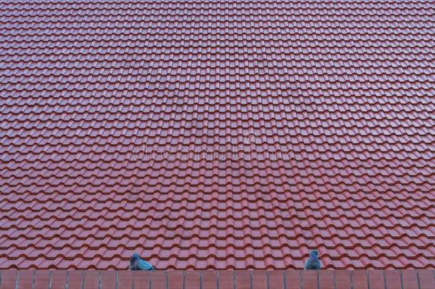 红色的瓦片屋顶