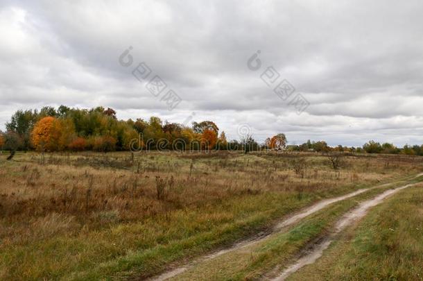 秋风景.黑暗的云越过指已提到的人秋森林.变黄或发黄英语字母表的第7个字母