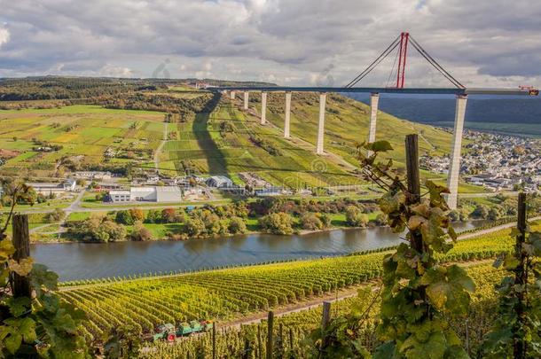 法国摩泽尔河流域产白葡萄酒葡萄园和<strong>高</strong>摩擦角在下面限制德国的