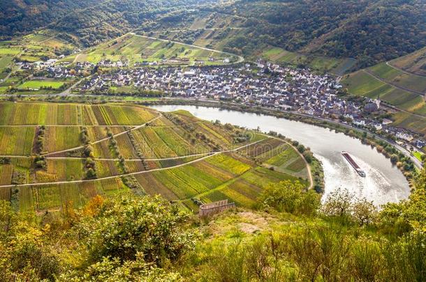 秋的法国摩泽尔河流域产白葡萄酒风景在布雷姆卡尔蒙特地区德国
