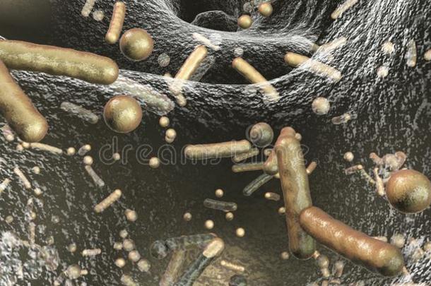 抗生素有抵抗力的细菌里面的一生物膜