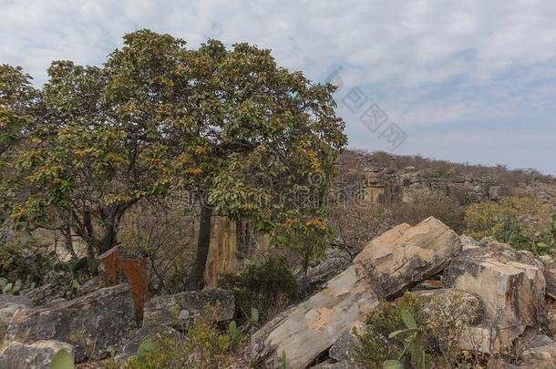 峡谷关于指已提到的人齿状山脊勒巴.卢班戈.安哥拉棉毛呢.