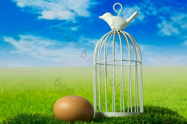 鸡蛋和鸟笼向指已提到的人绿色的幻想草地