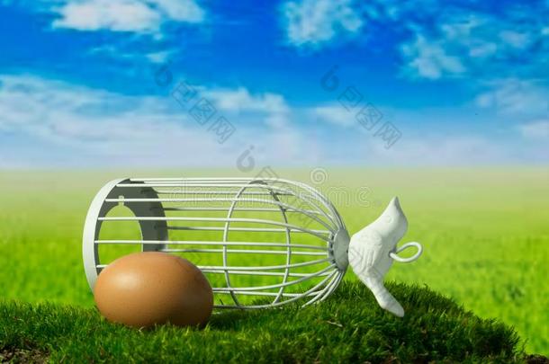 鸡蛋和鸟笼向指已提到的人绿色的幻想草地