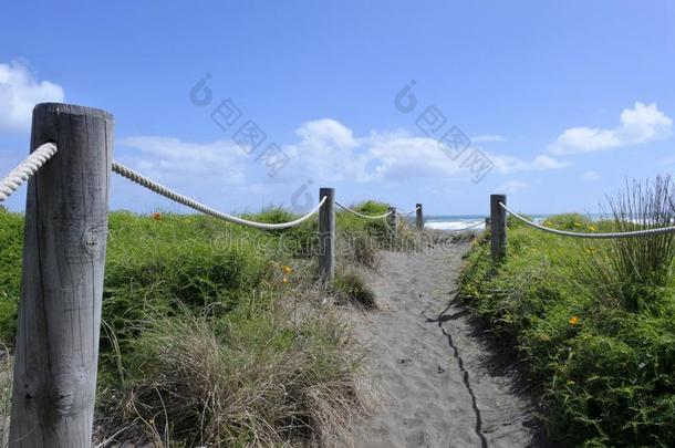 沙沙丘小路采用皮哈海滩新的西兰岛