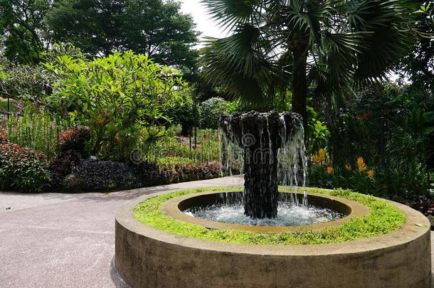 兰花花园<strong>新加坡</strong>国家的兰花花园<strong>新加坡</strong>