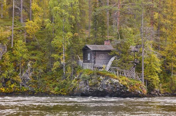 芬兰森林风景在小熊跟踪.秋Sweden瑞典