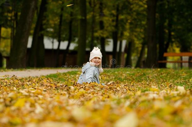 小孩女孩采用秋树叶