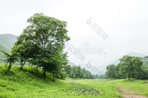 中国河北黑龙山草地立场风景