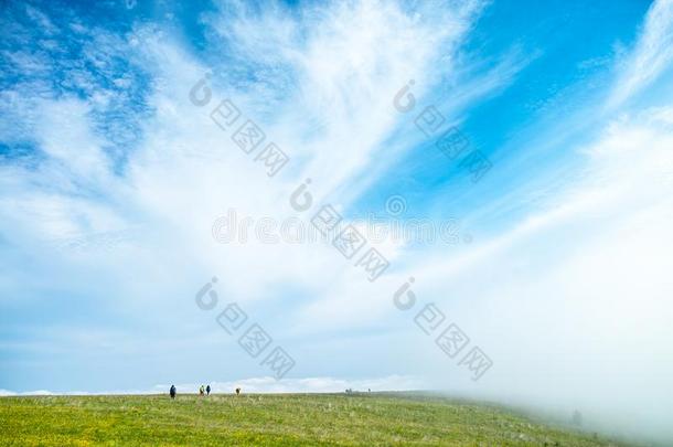 中国河北黑龙山草地立场风景