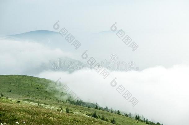 中国河北黑龙山草地立场风景